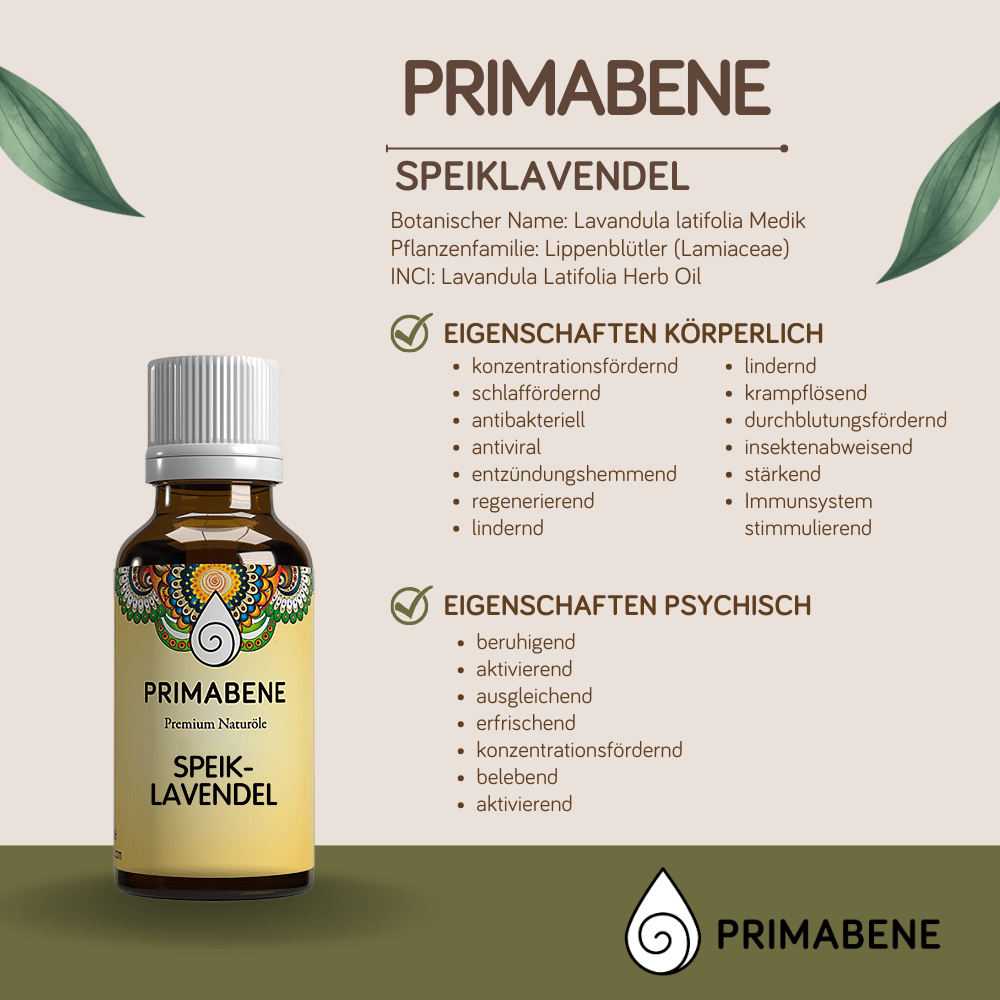 Bild von Spik/Speik-Lavendel , 100% rein ätherisches Öl